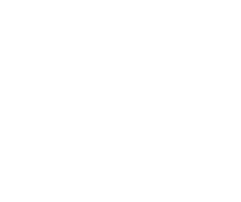 Net sky
